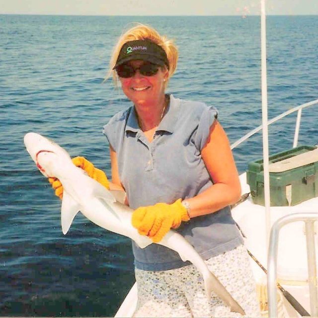 Shark!