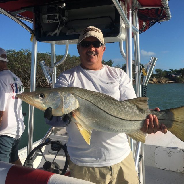 Little Snook