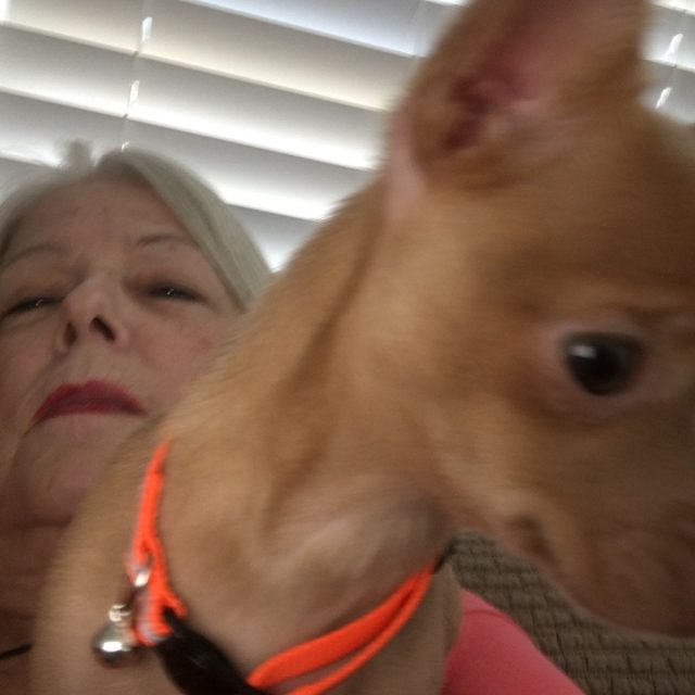 Photo Hog
