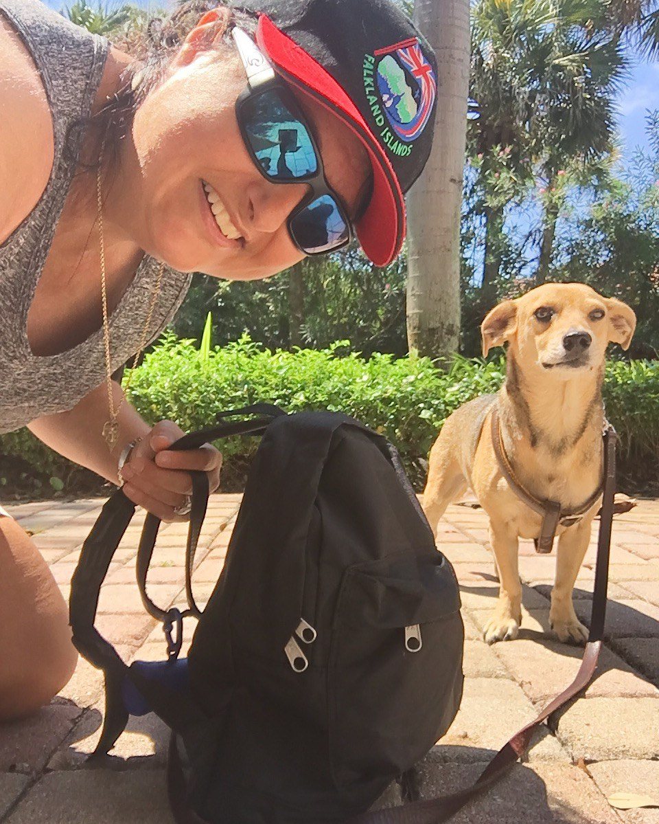 Doggie Loves Hiking
