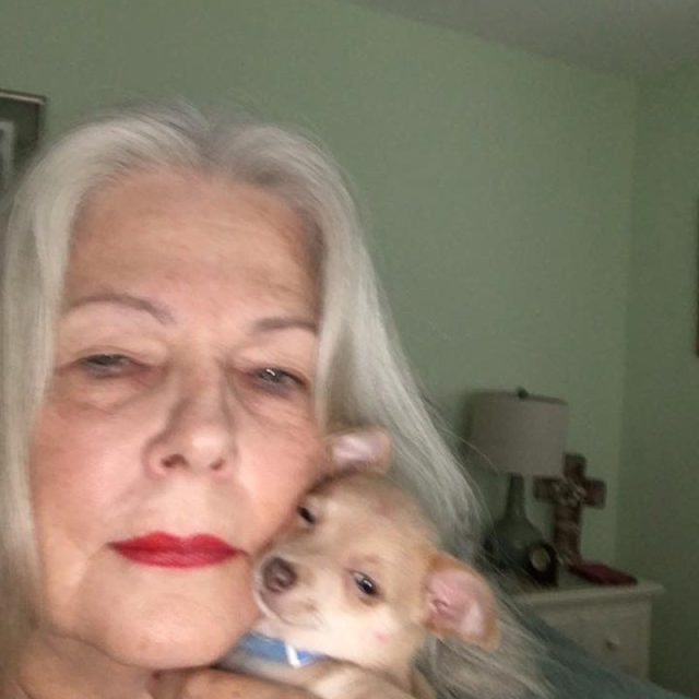 Puppy Love