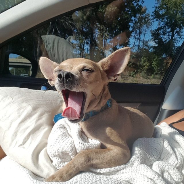 Roadtrips To NJ Are Exhausting!!!