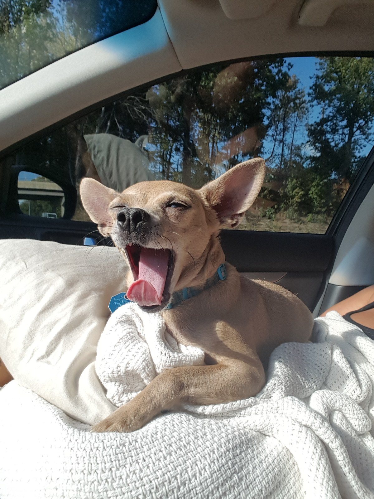Roadtrips To NJ Are Exhausting!!!