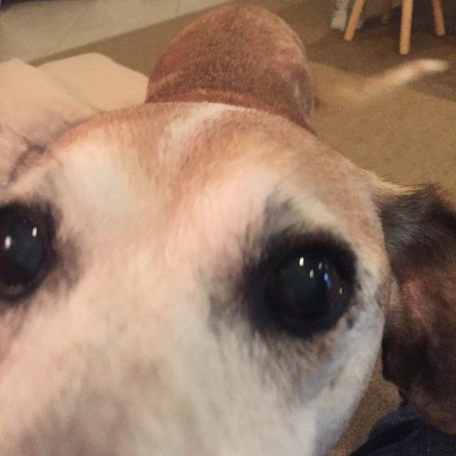 Does This Make My Nose Look Too Big?