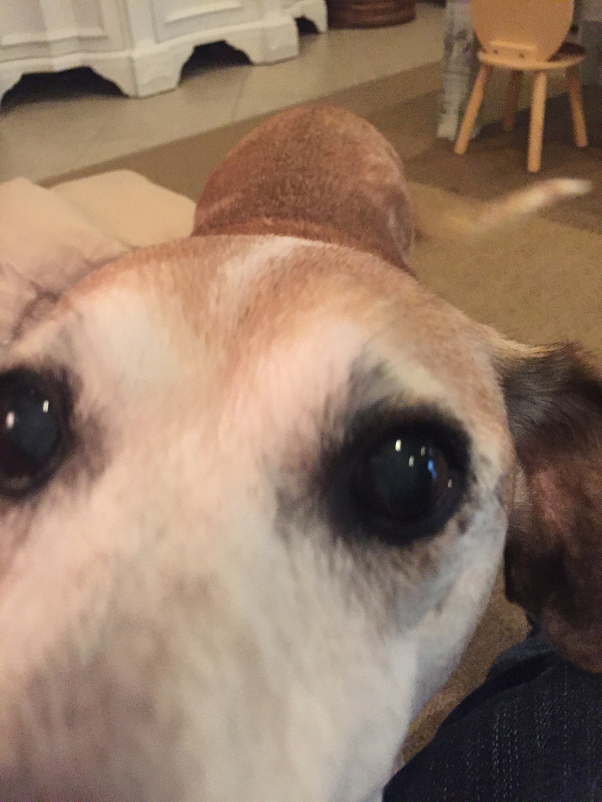 Does This Make My Nose Look Too Big?