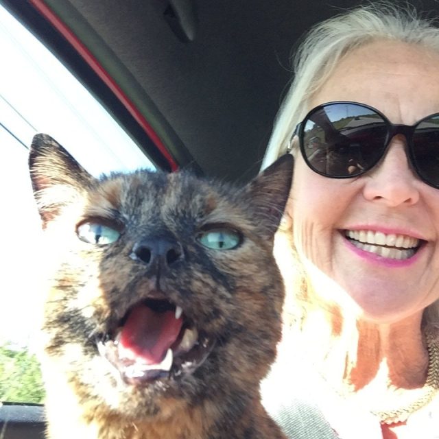 Catitude!
