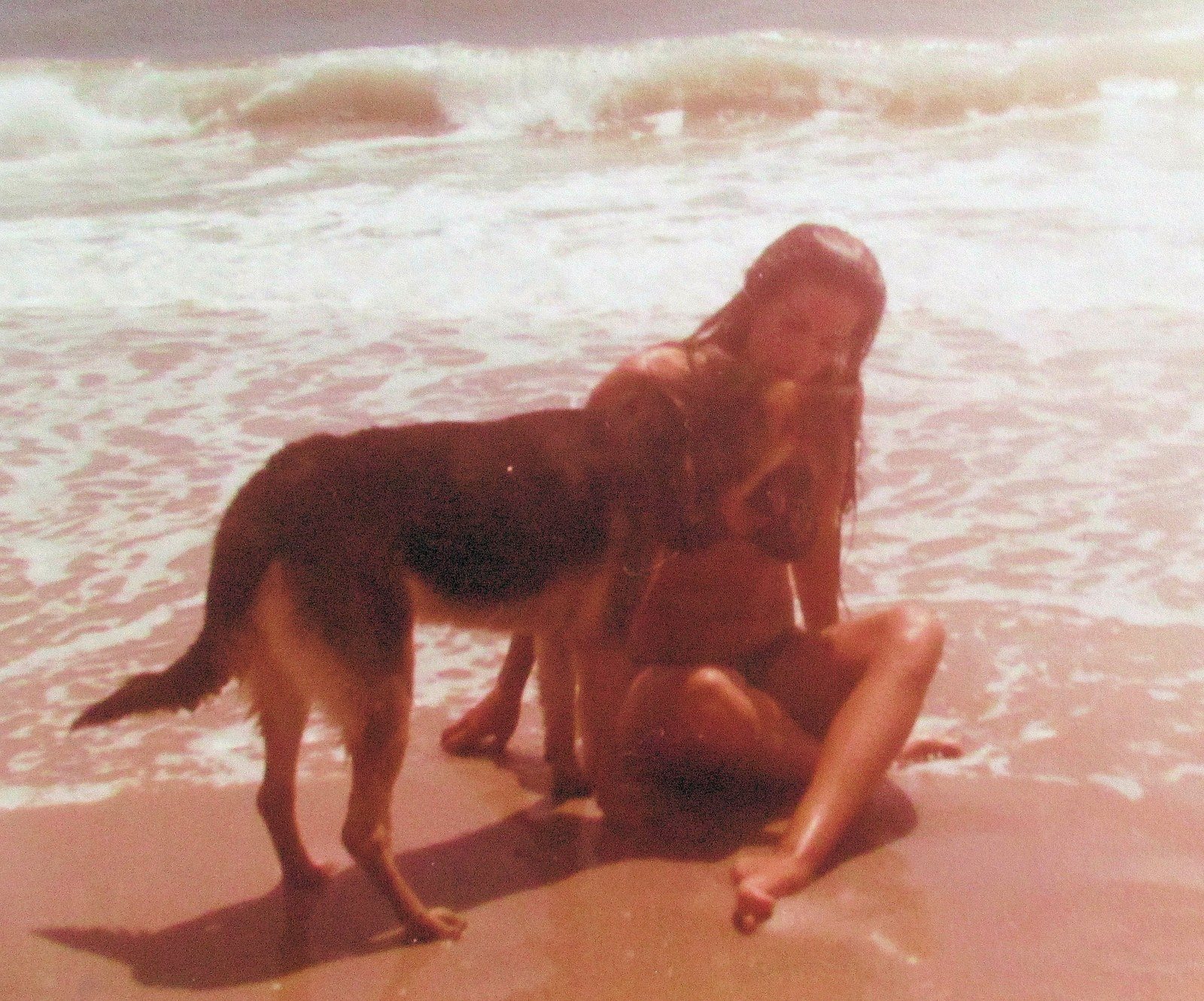 Sandy Feet & Paws