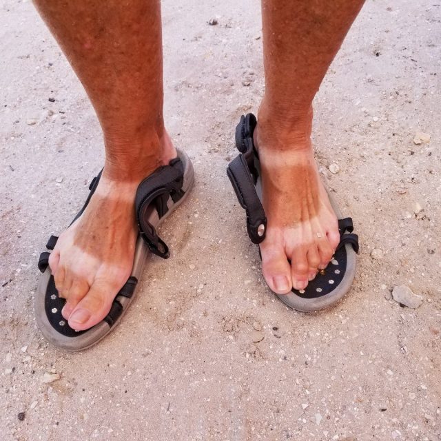 Bikini Feet