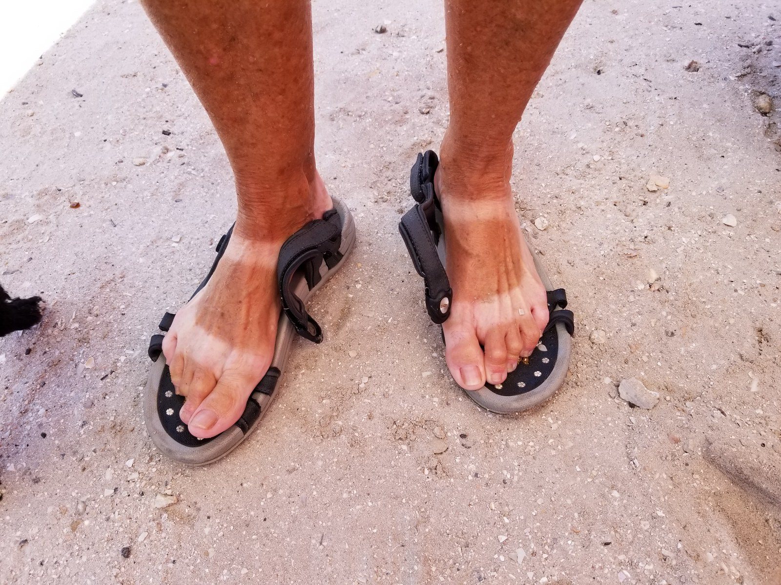 Bikini Feet