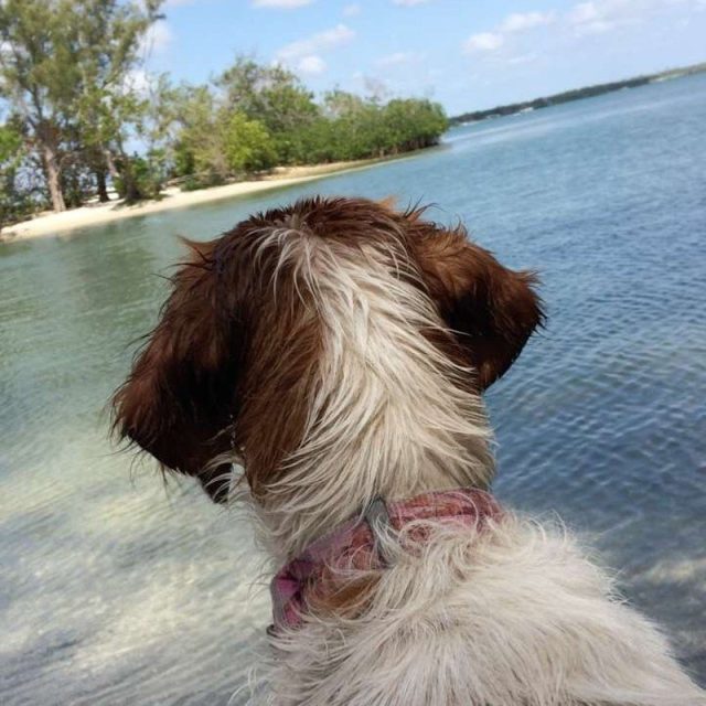 Loving Her First Boat Trip