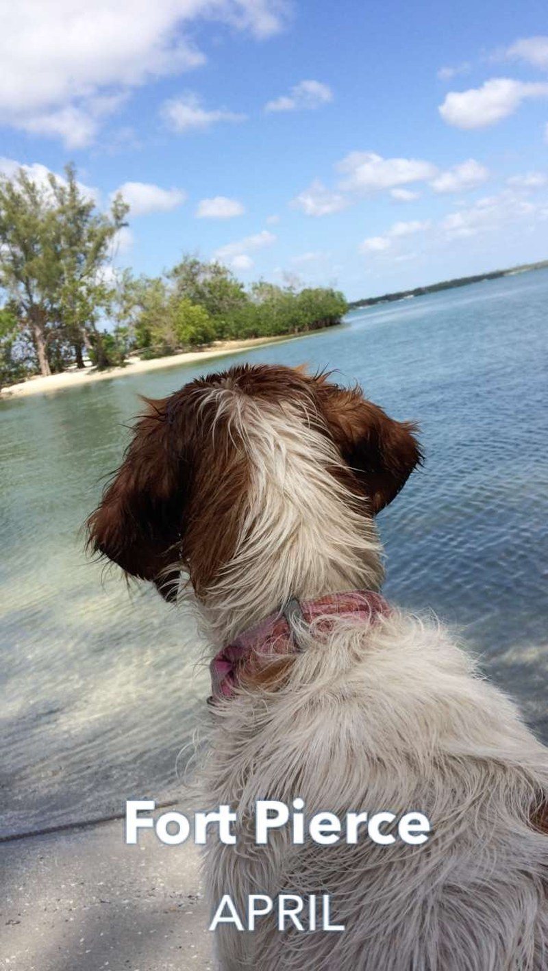 Loving Her First Boat Trip