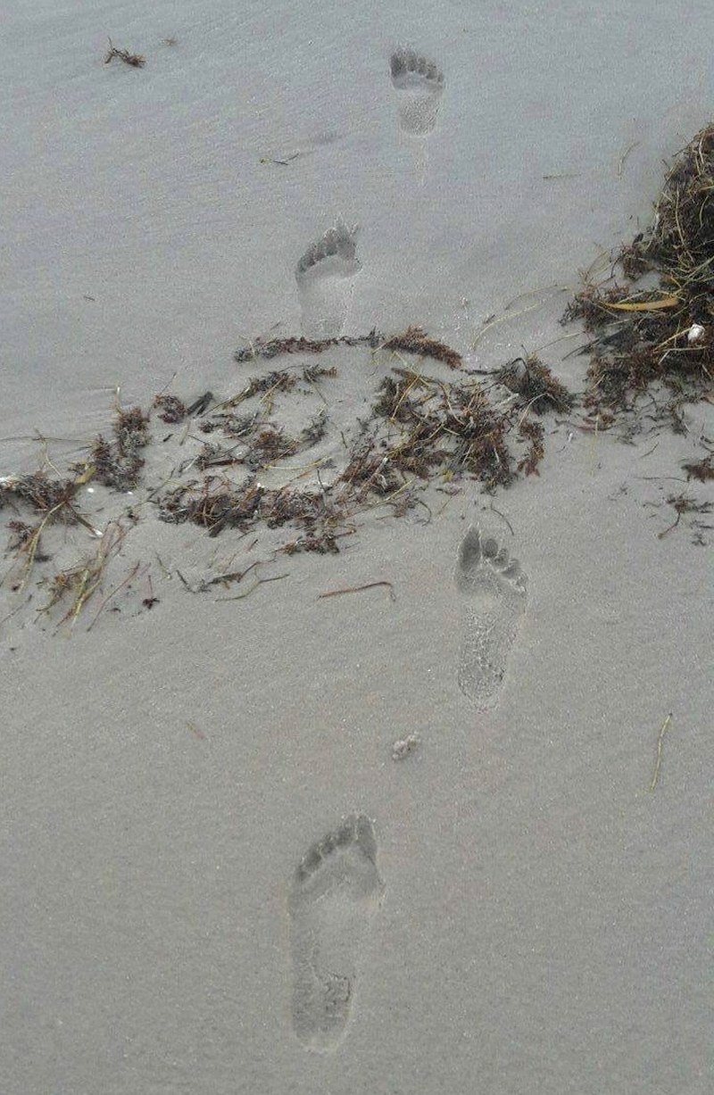 Someone Must Have Sand Under Their Feet