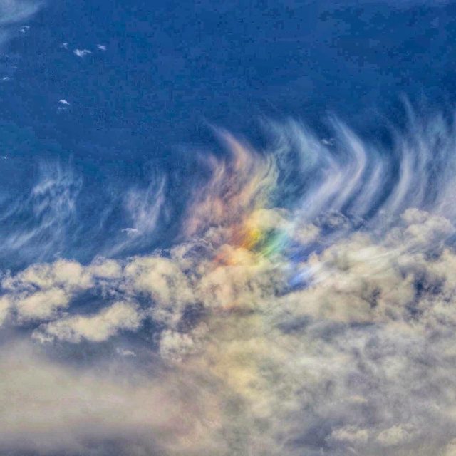Skylight