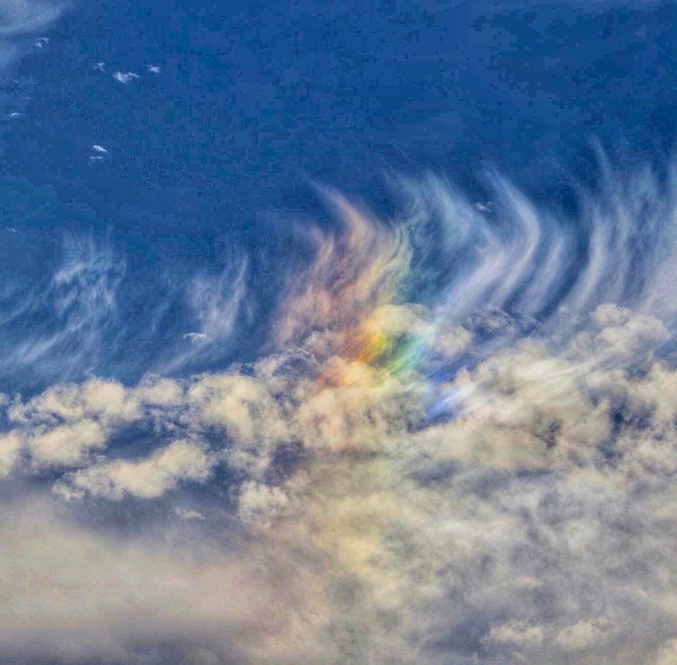 Skylight