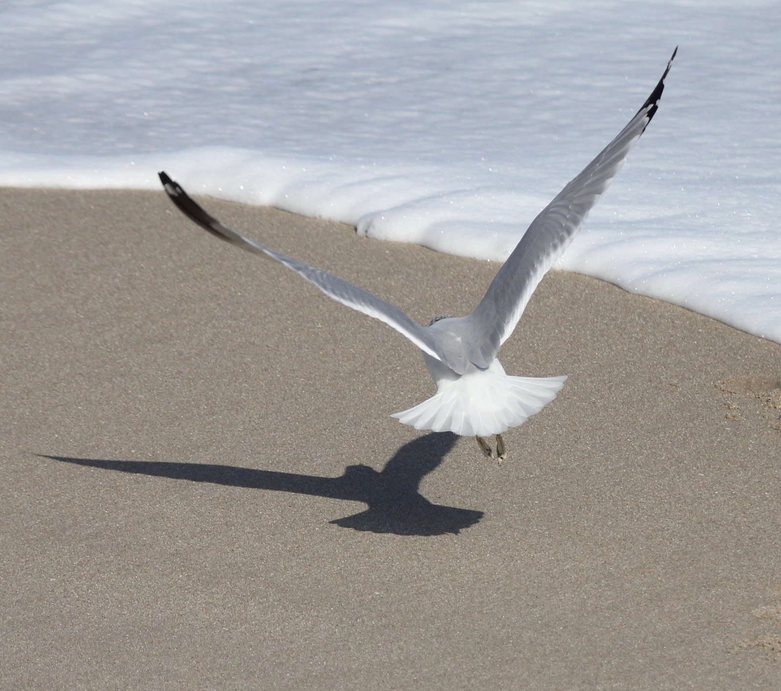 Cleared For Landing