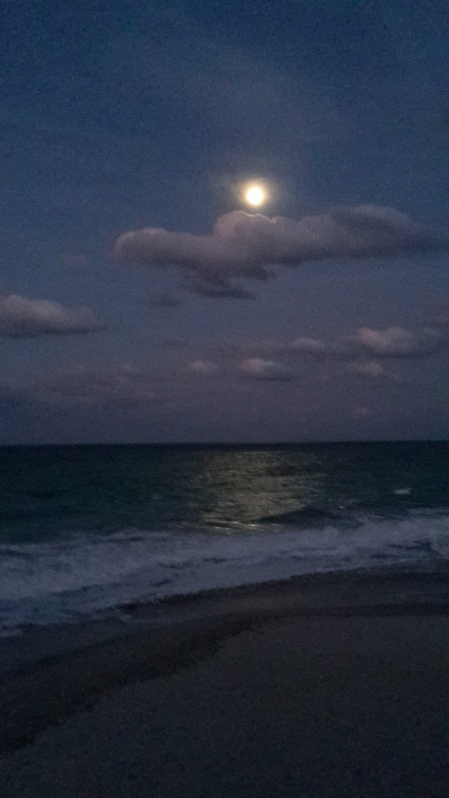 Donna's photo