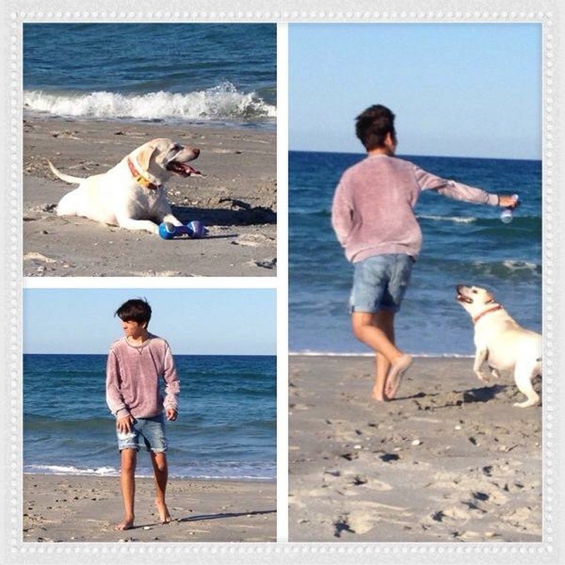 A Dog And Her Boy