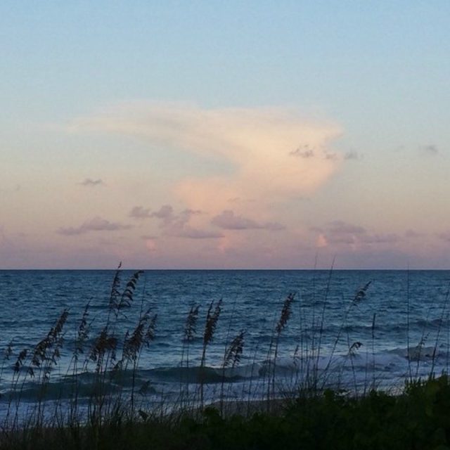 Serenity