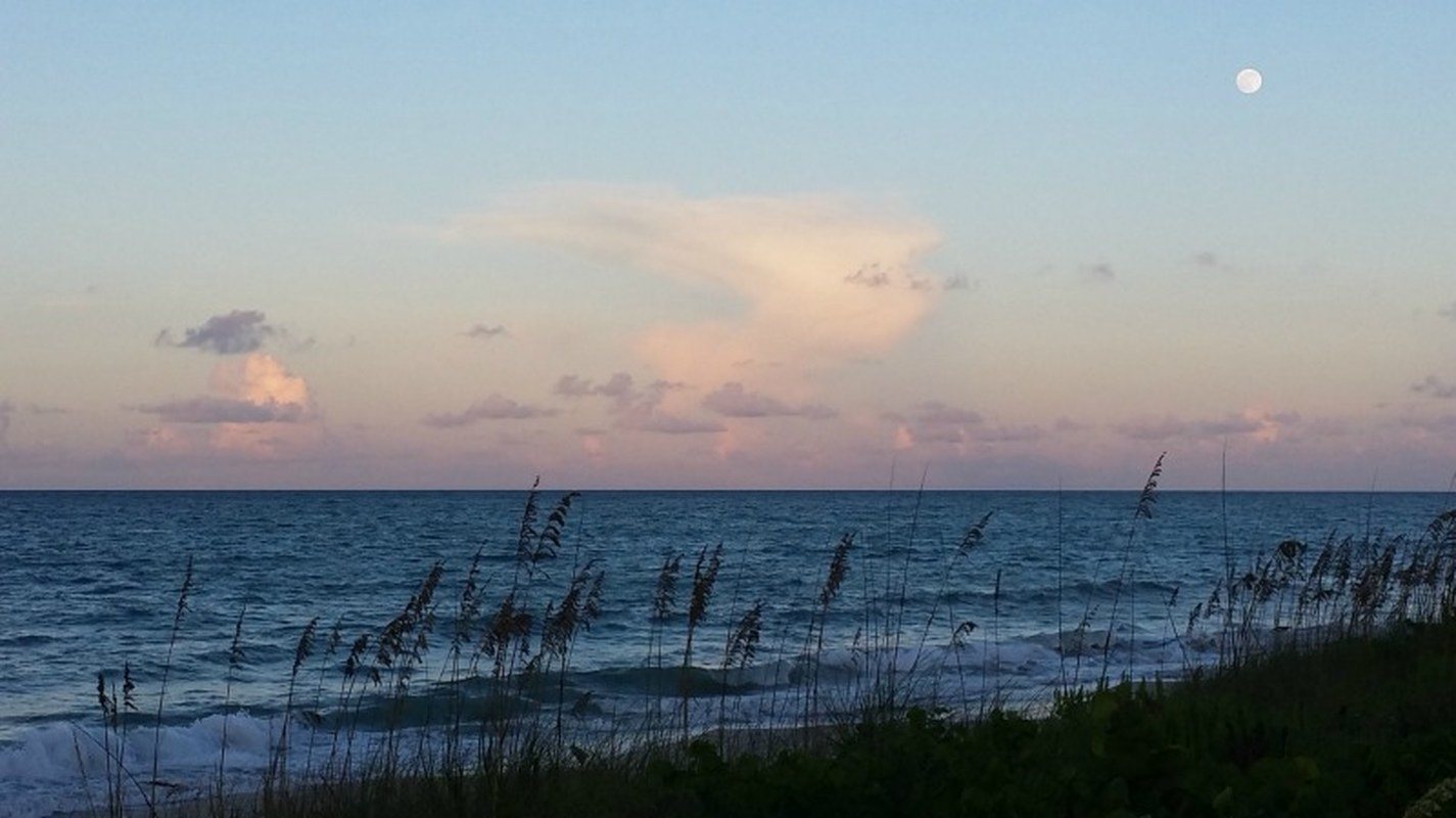Serenity