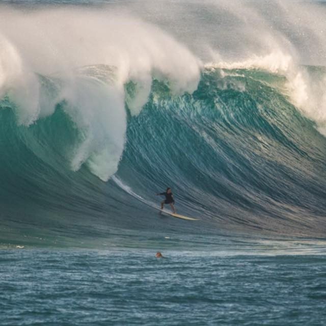 Catch A Wave
