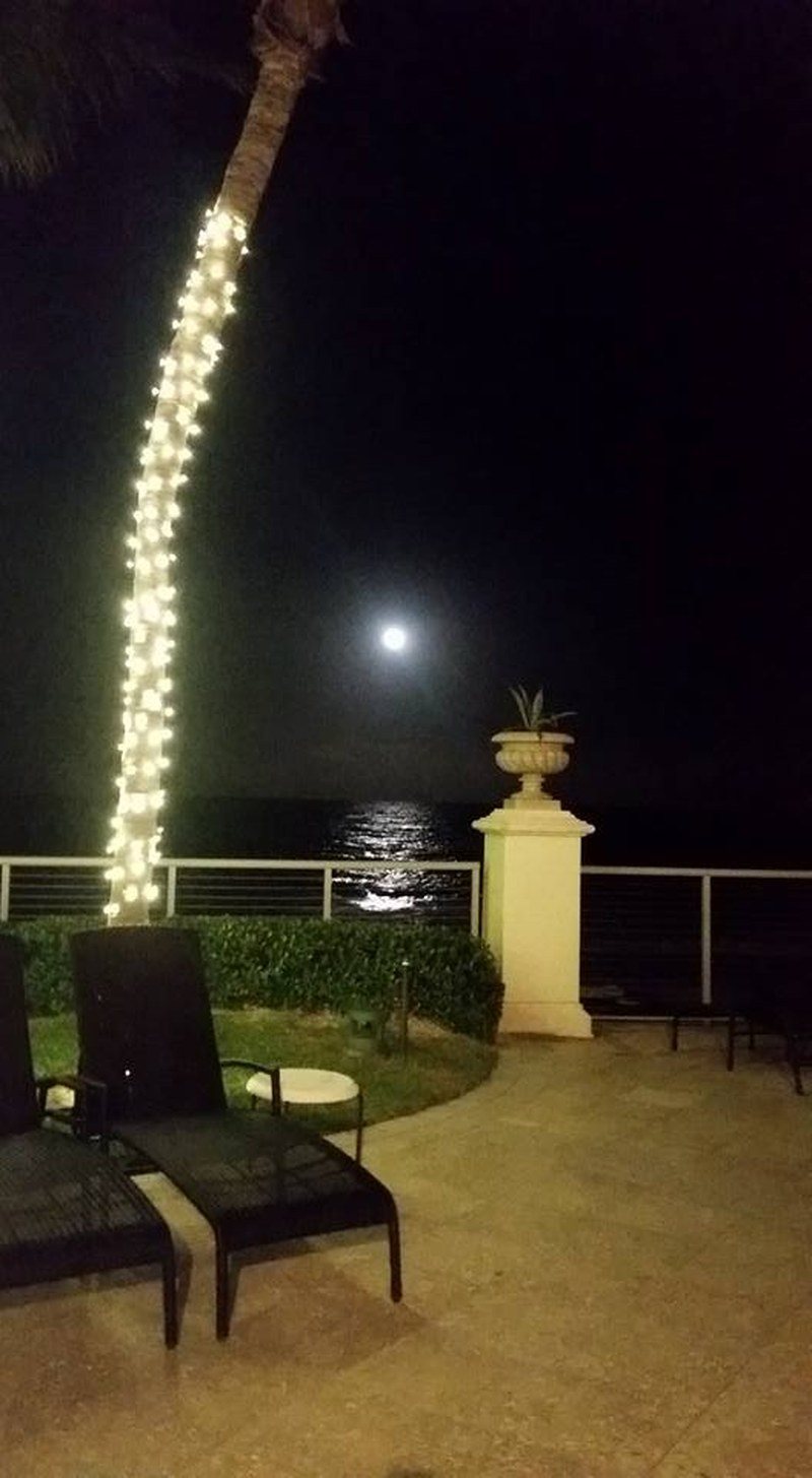 Cobalt Full Moon