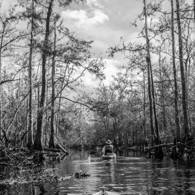 "Kayaking Florida"