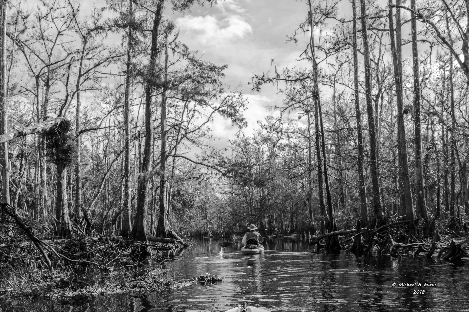 "Kayaking Florida"