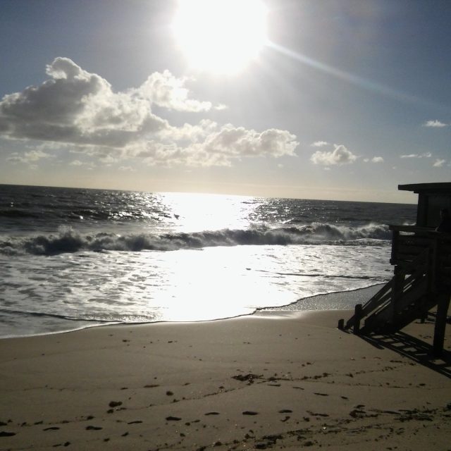 Morning Sun