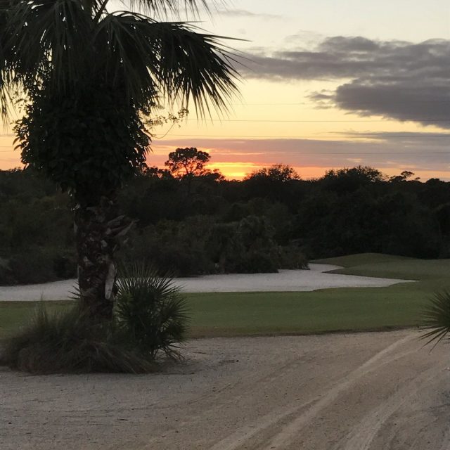 Golf Course Beauty
