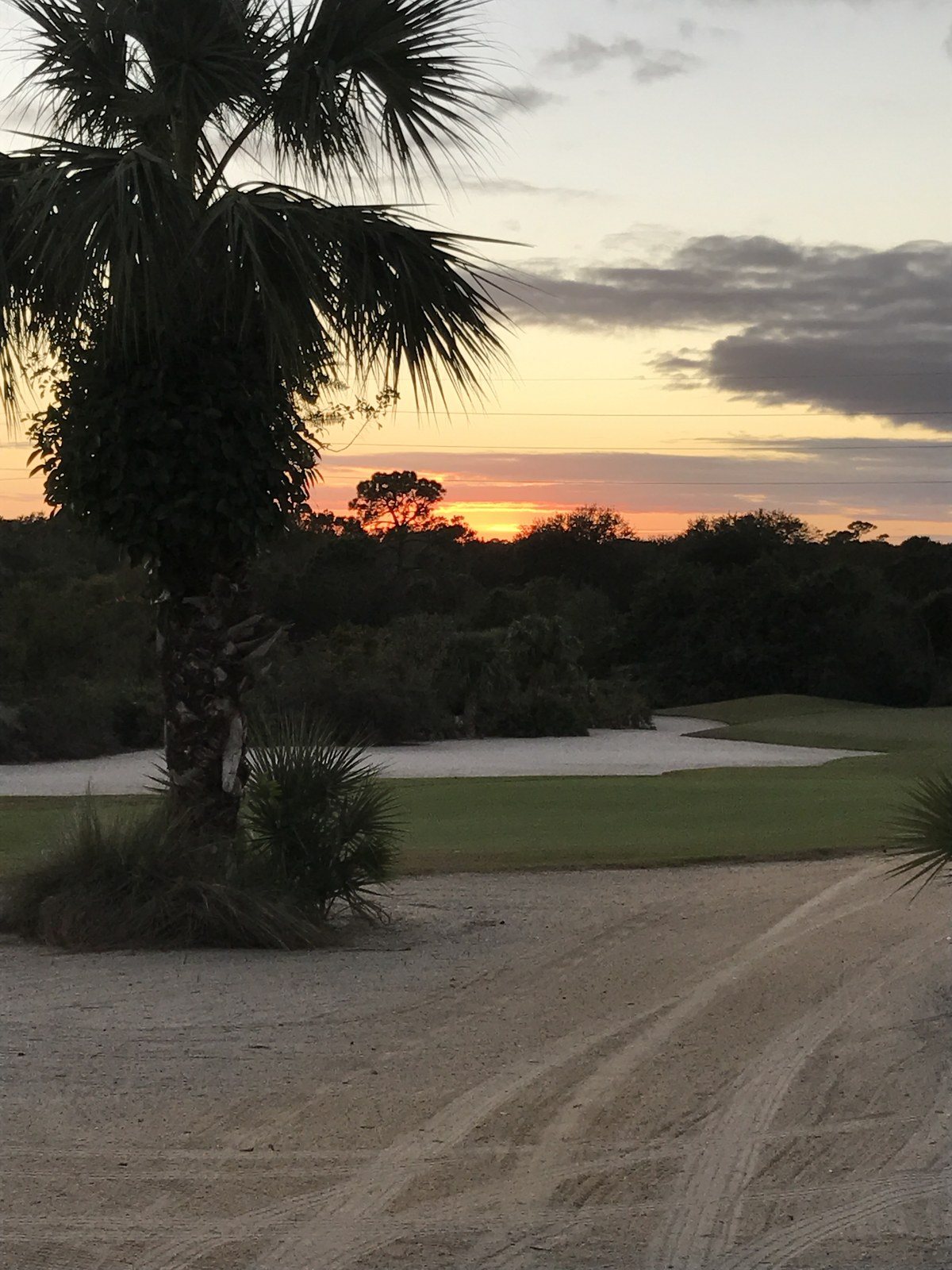 Golf Course Beauty