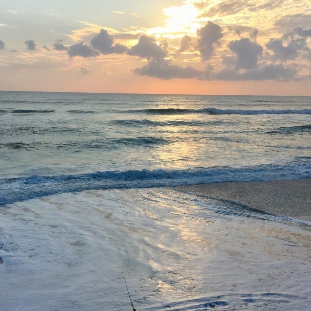Paradise