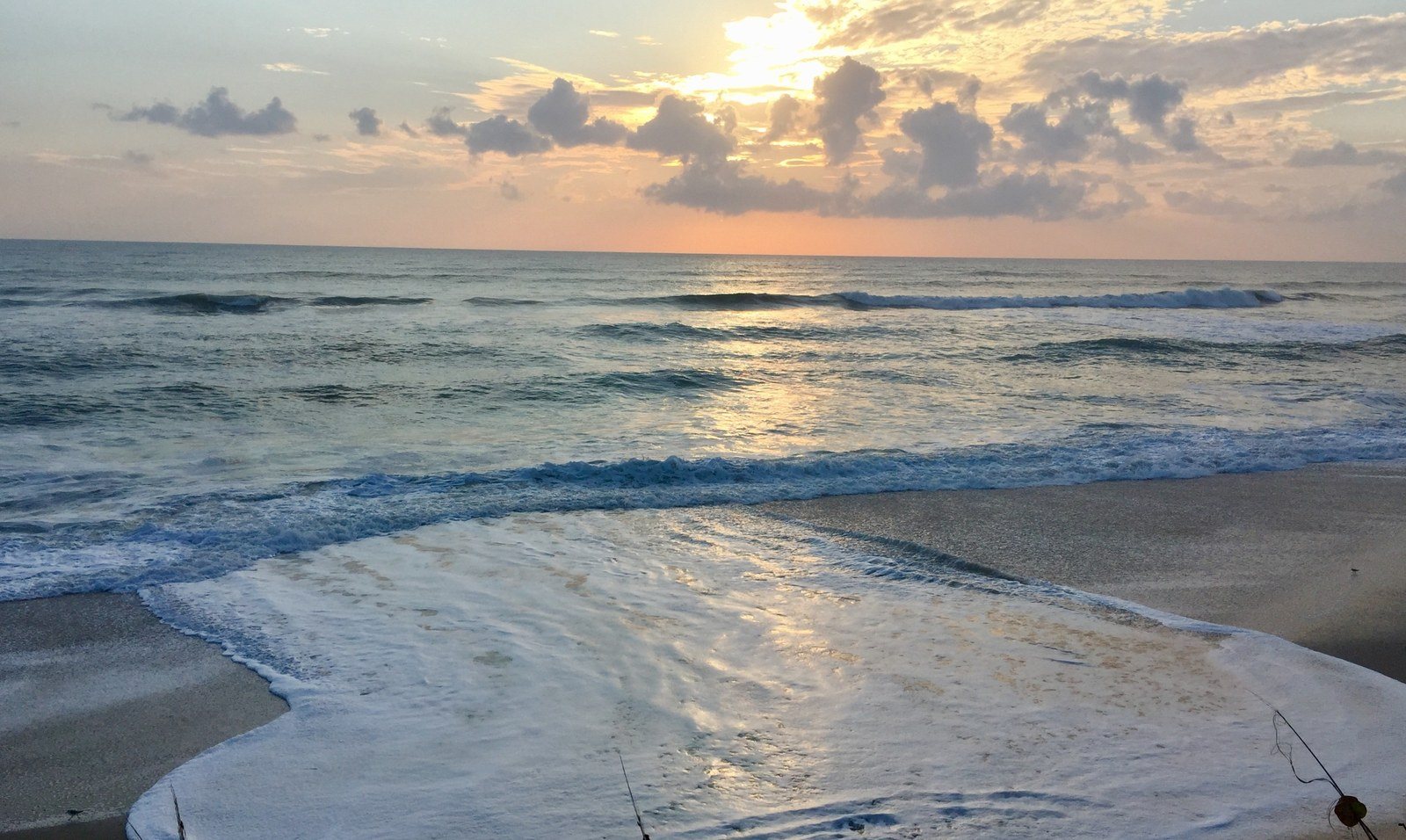 Paradise