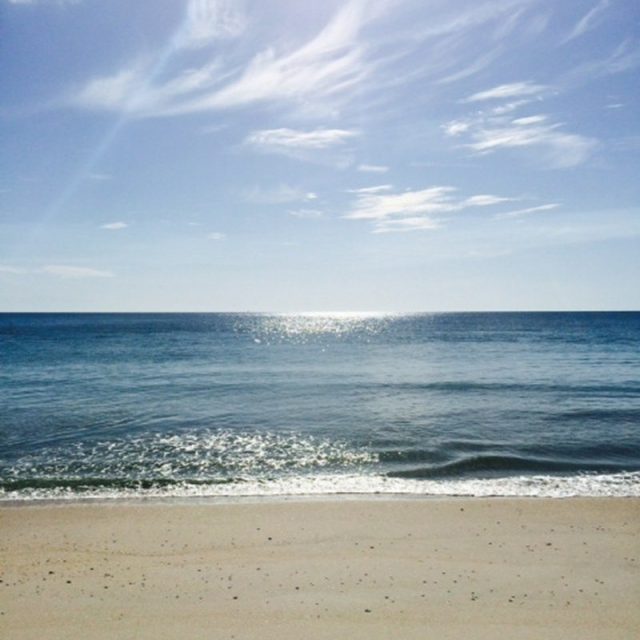 Beach Day