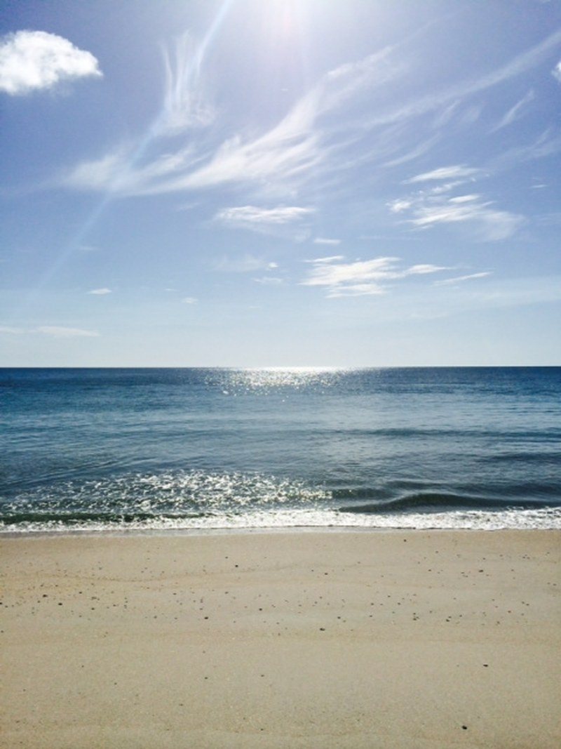Beach Day
