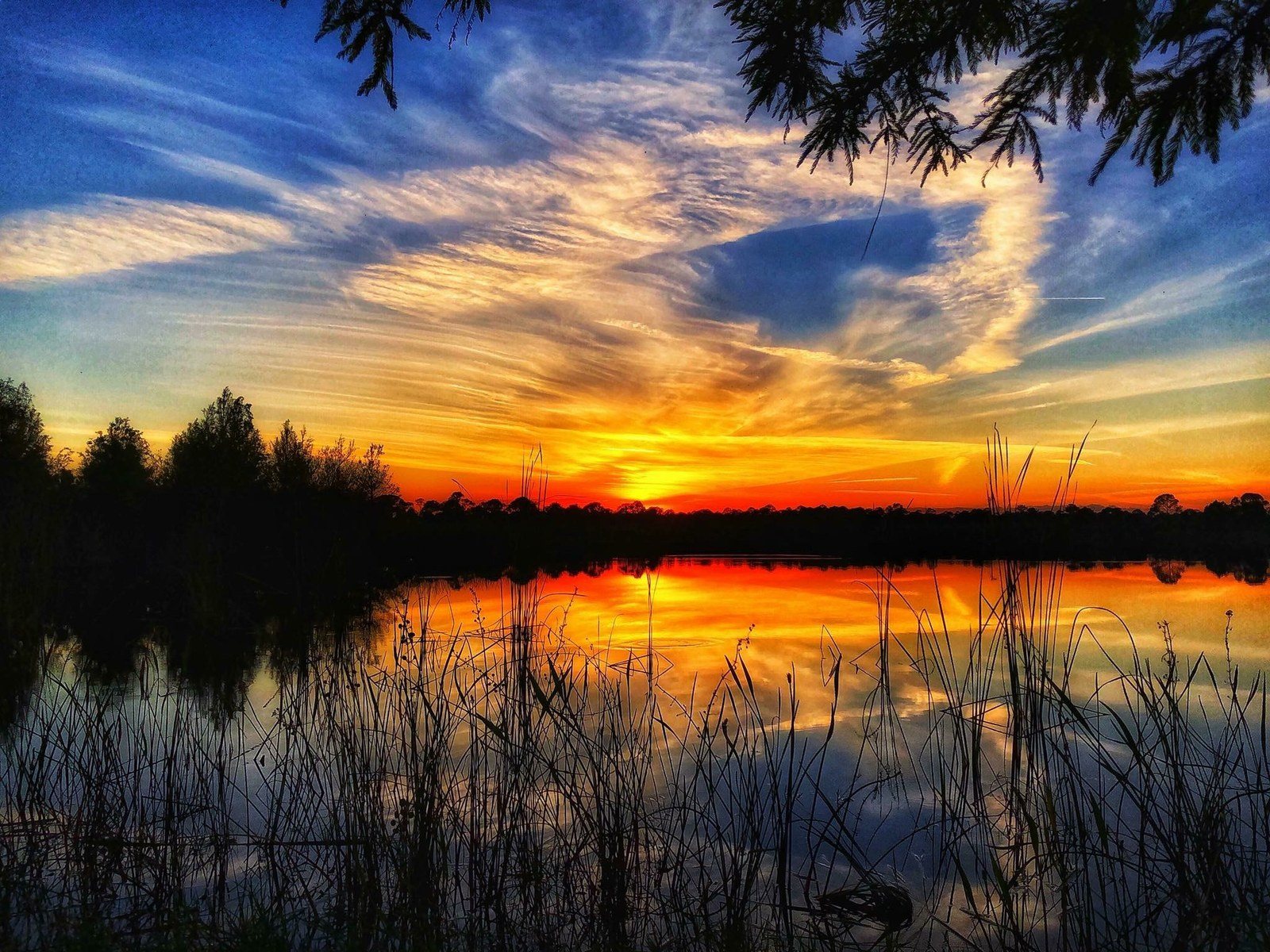 Favorite Sunset