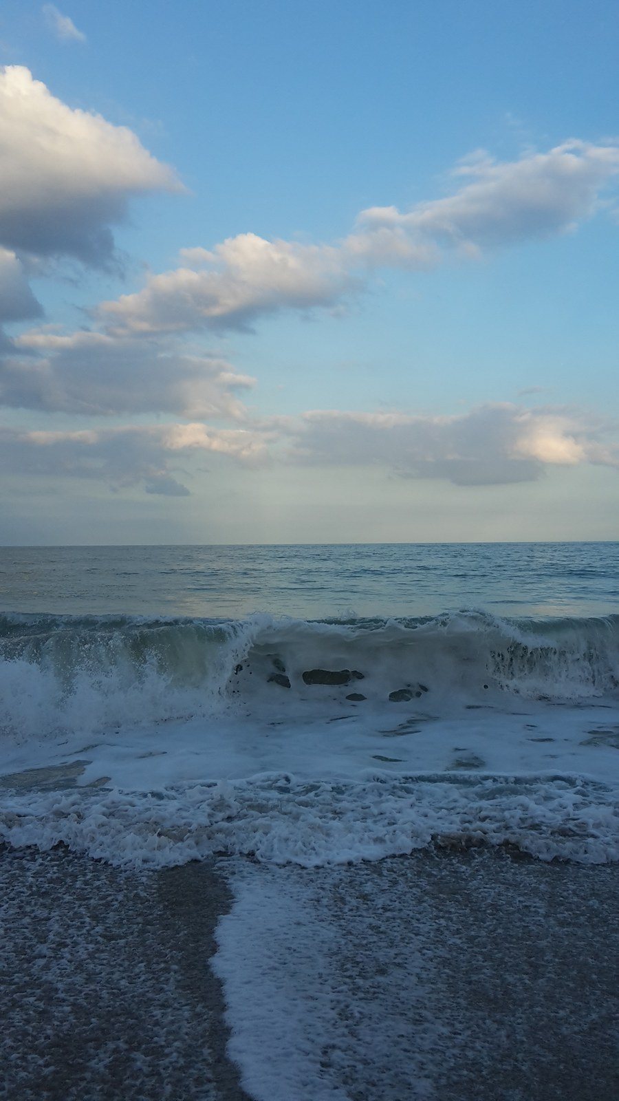 Donna's photo
