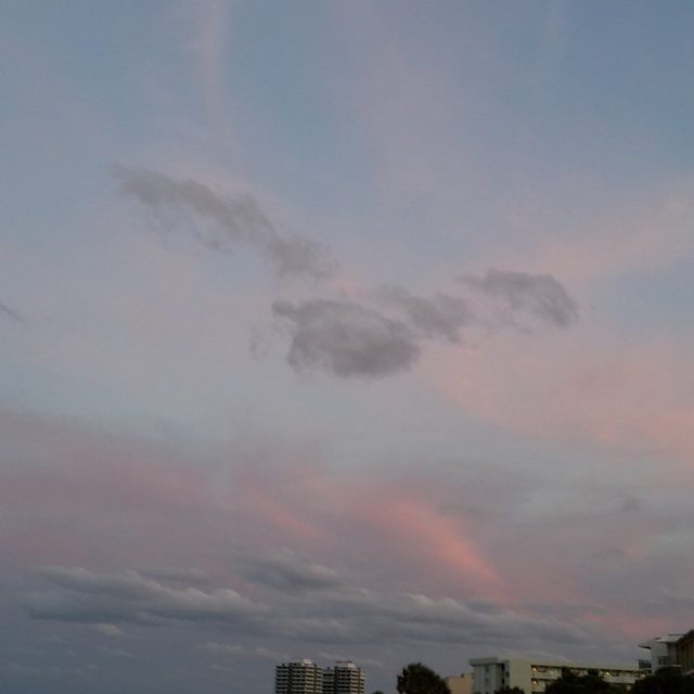 Donna's photo