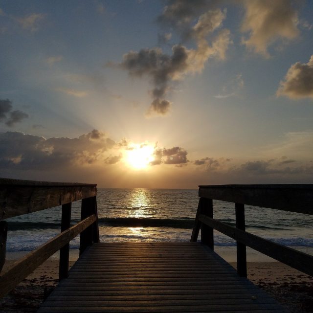 Gods Beauty