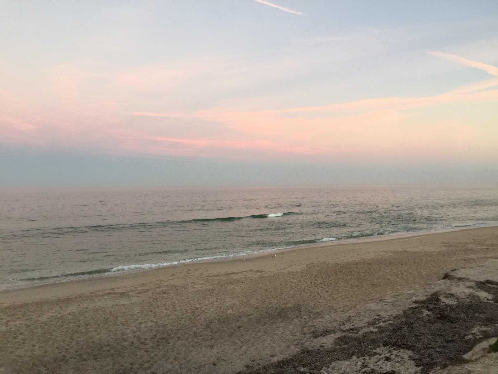 No Filter