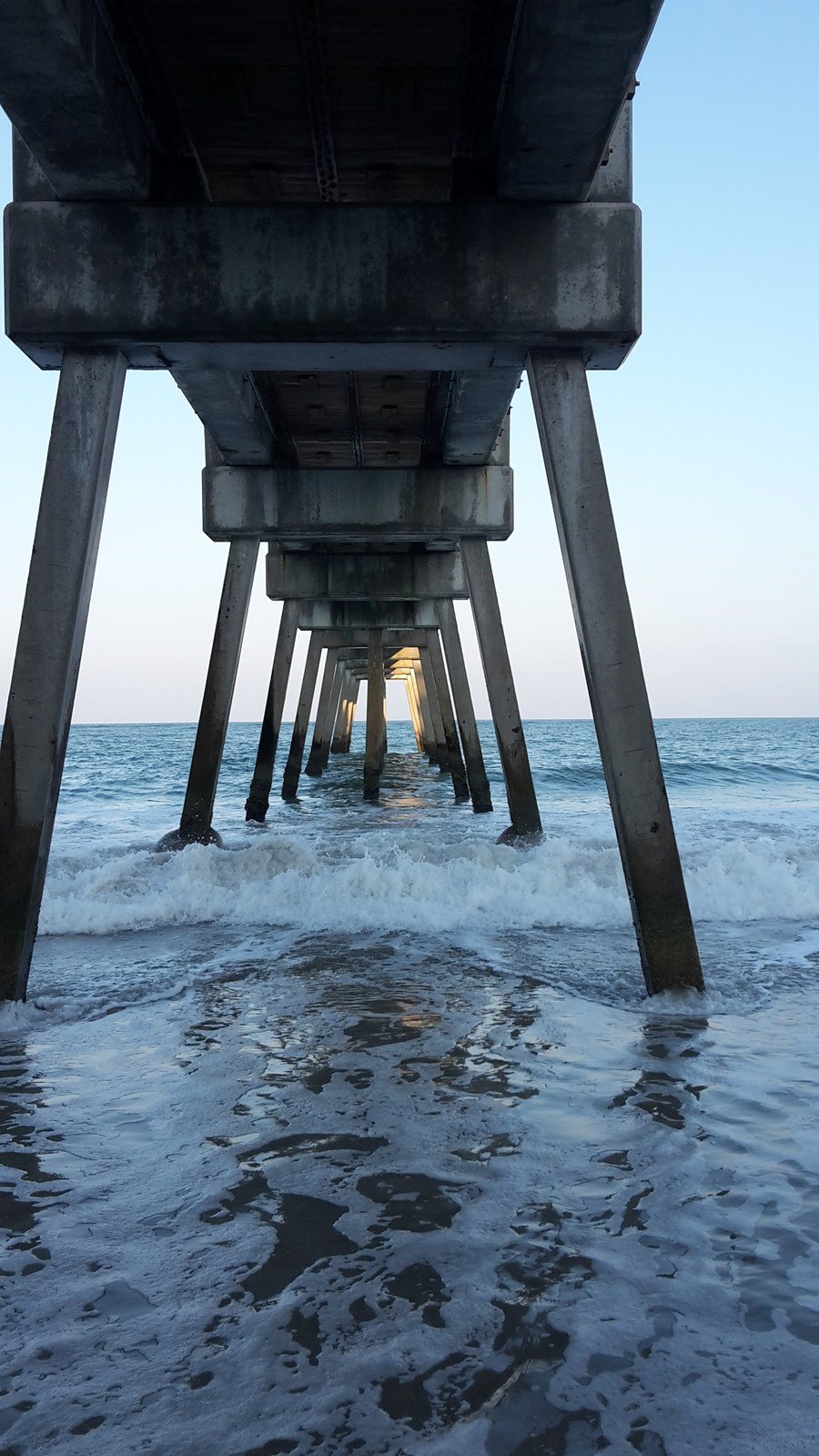 Donna's photo