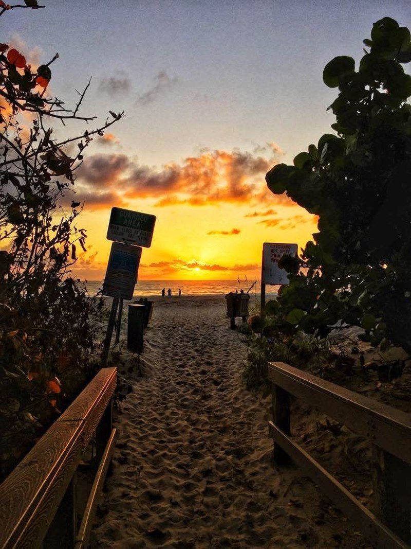 South Beach Is Waiting