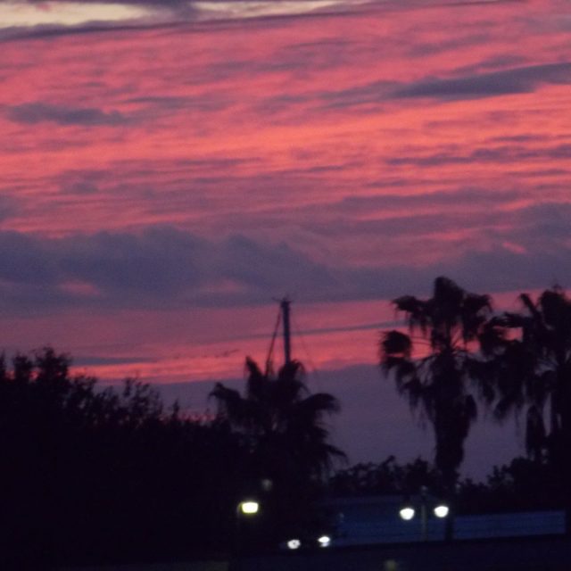 December Sunrise