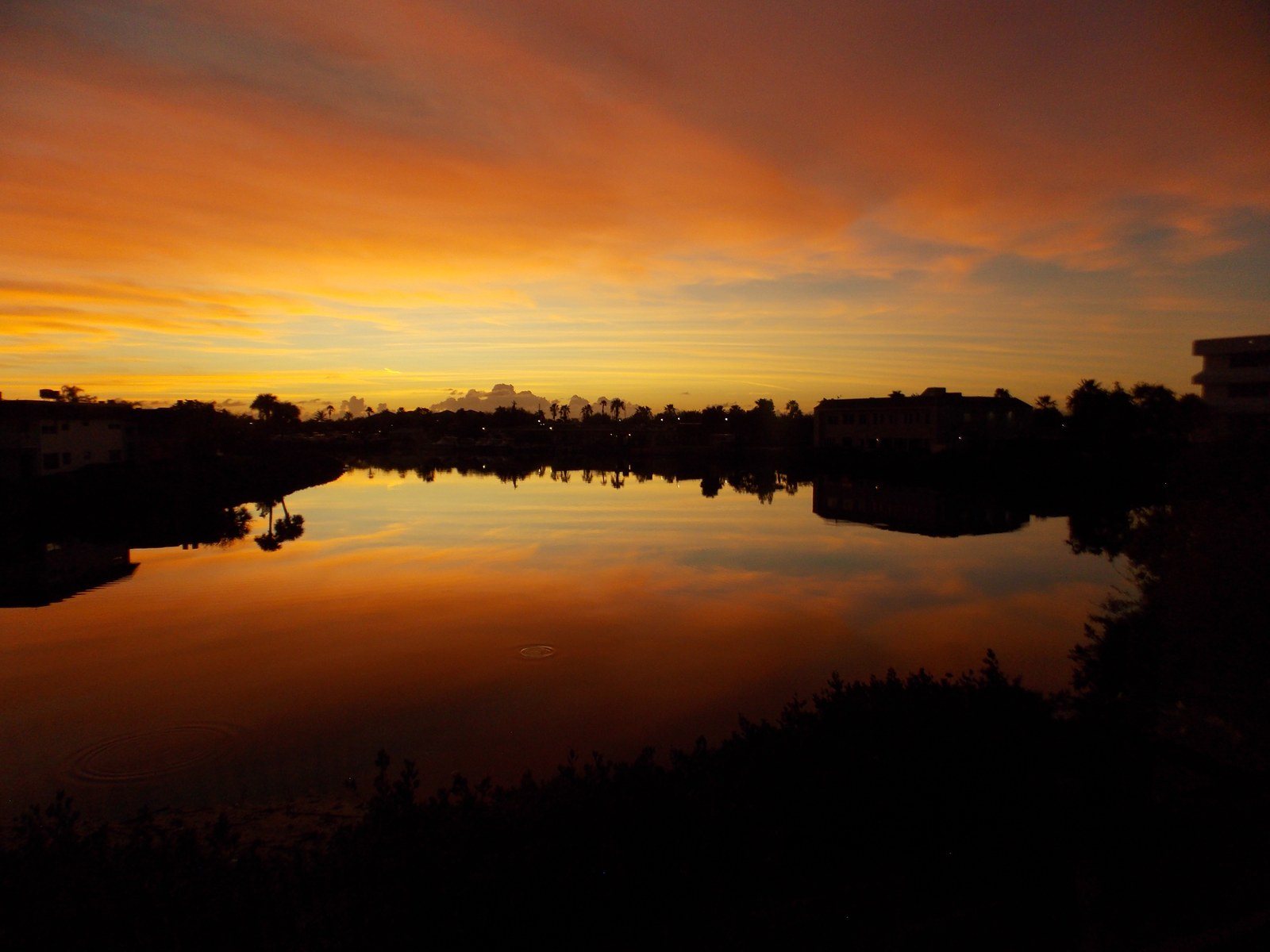 Sunrise Vista Harbor