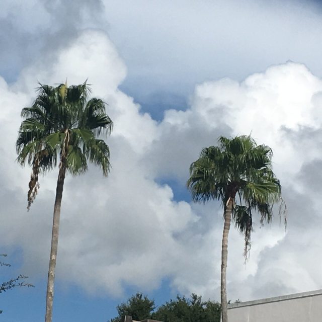 Paradise Downtown Vero/ Above The Library!