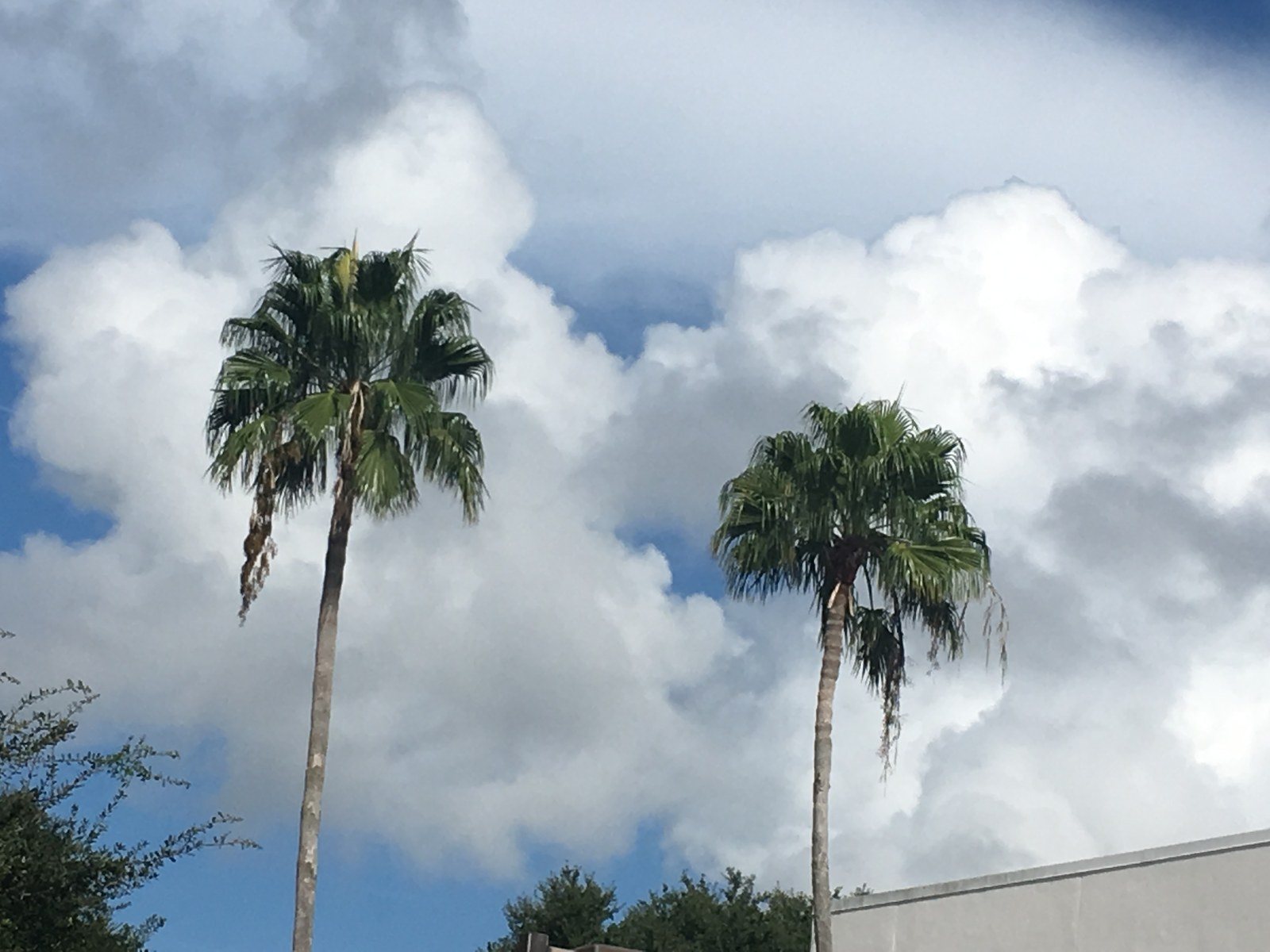 Paradise Downtown Vero/ Above The Library!