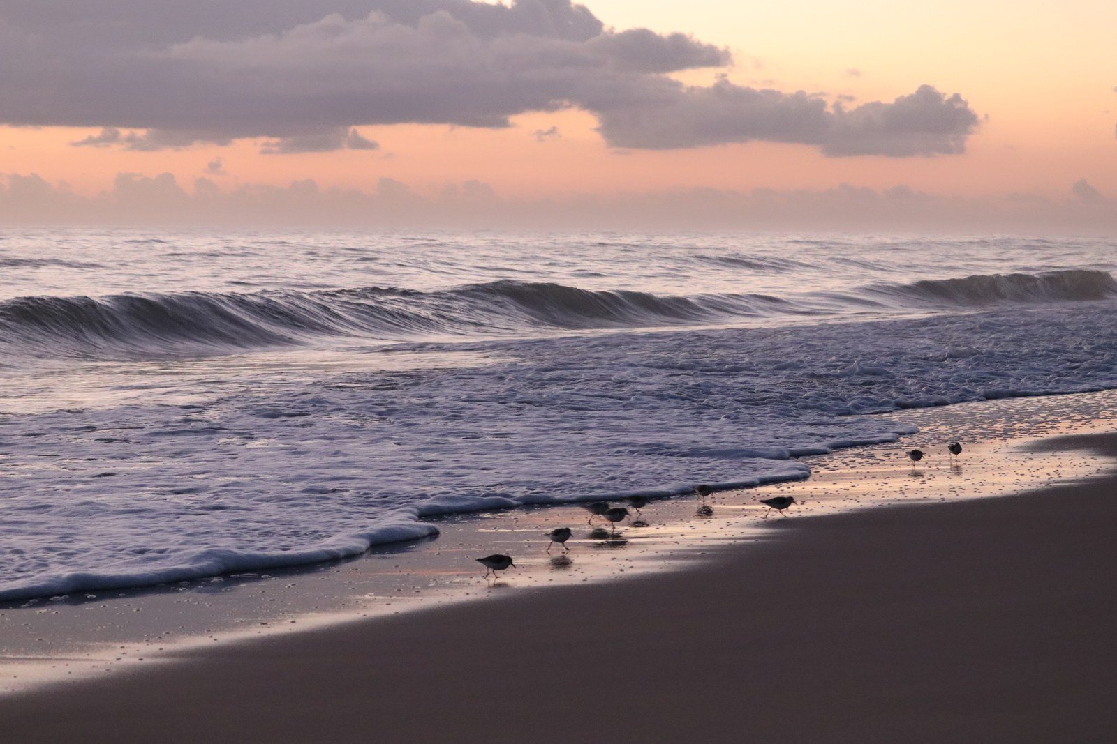 Morning Glory At South Beach