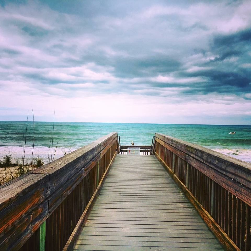 Bird On The Boardwalk