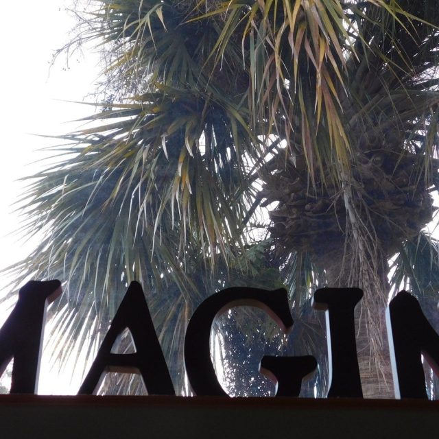 Imagine