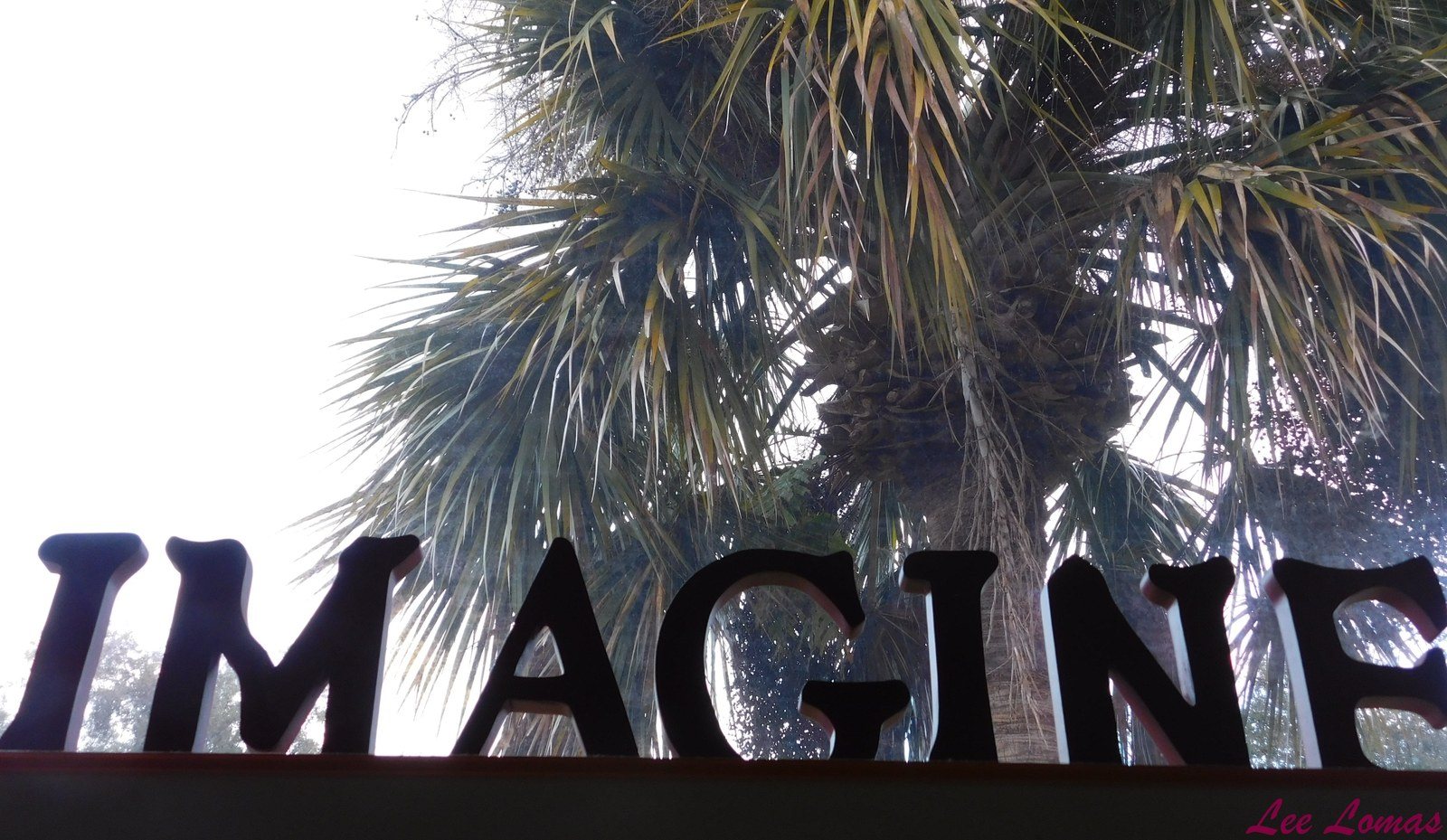 Imagine