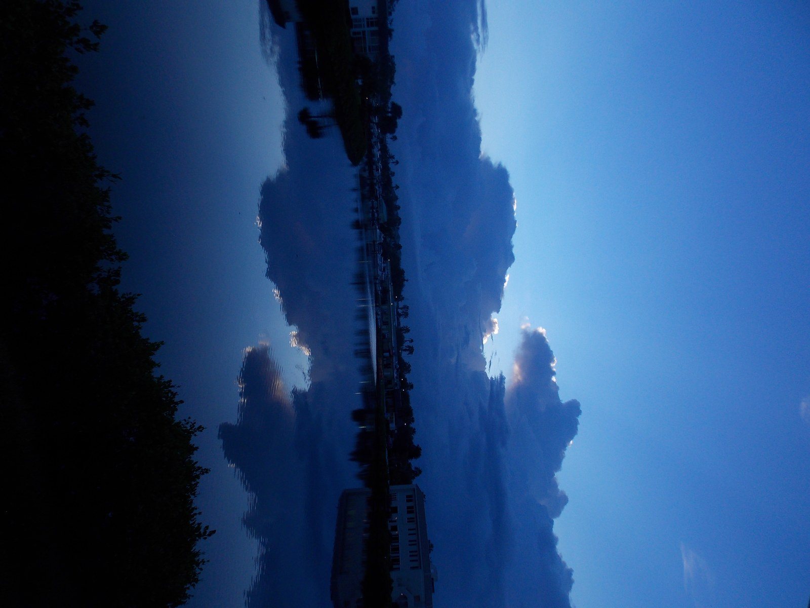 Early Morn